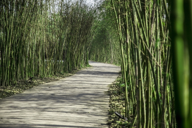 Alba Wellness Resort: sống cùng thiên nhiên - Ảnh 5.