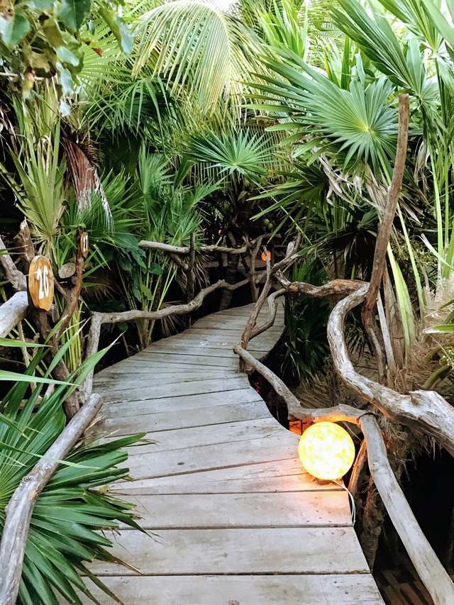 Azulik: giấc mơ siêu thực trên ngọn cây - Ảnh 11.