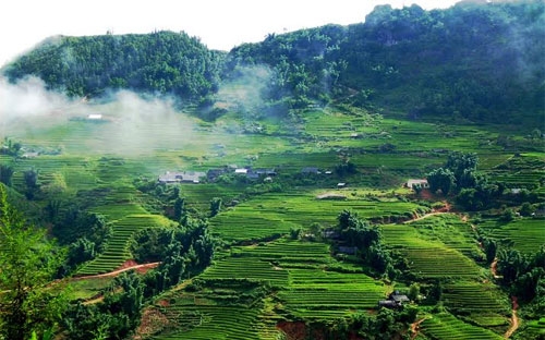 Theo quy hoạch, dự án bao gồm một khu sinh thái đáp ứng khoảng 
1.000 du khách tại cùng một thời điểm; kết hợp hồ nước, suối tự 
nhiên rộng 10 ha để điều hòa không khí và môi trường.