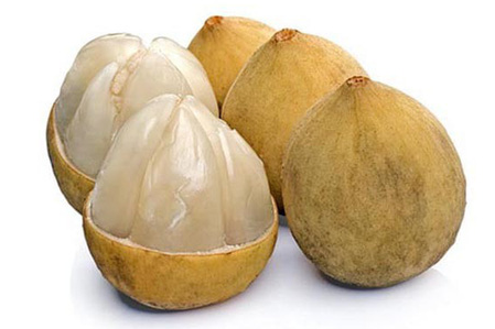 Gỏi bòn bon – món ngon độc quyền của xứ Quảng - Ảnh 2.