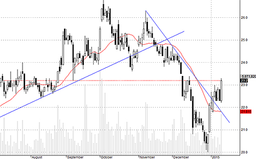 HAG đột ngột xuất hiện dòng tiền lớn.