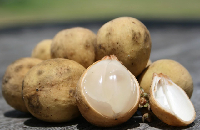 Gỏi bòn bon – món ngon độc quyền của xứ Quảng - Ảnh 1.