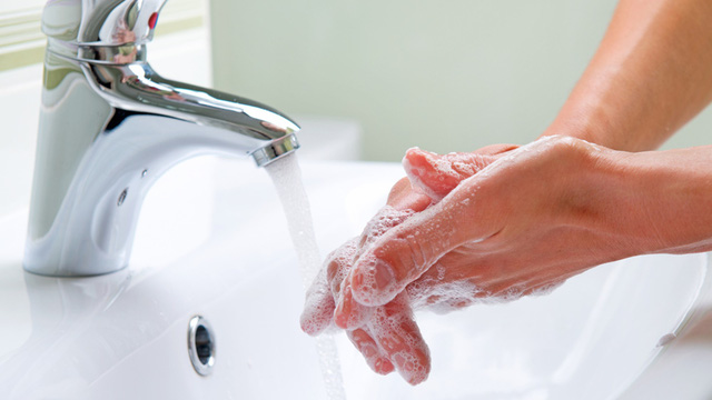 Hạn chế kiến ba khoang và cách xử lý khi bị đốt - Ảnh 2.
