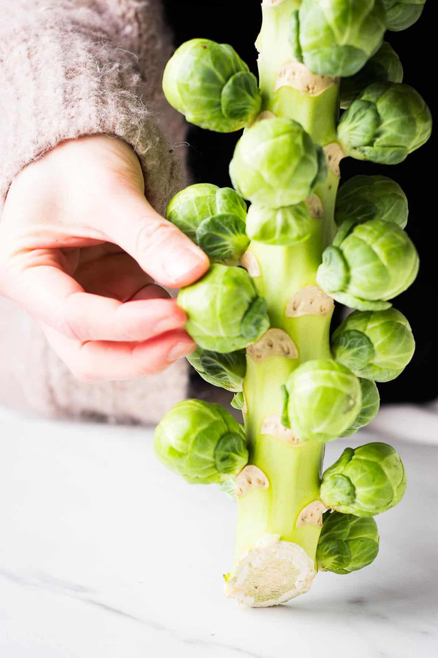 Thưởng thức bắp cải tí hon ngay tại Việt Nam - Ảnh 1.