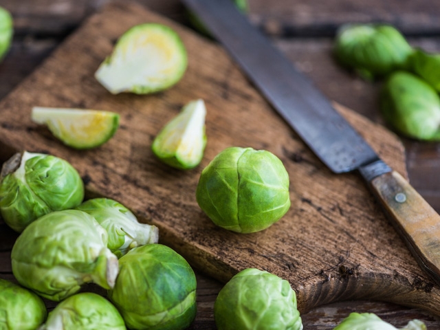 Thưởng thức bắp cải tí hon ngay tại Việt Nam - Ảnh 2.