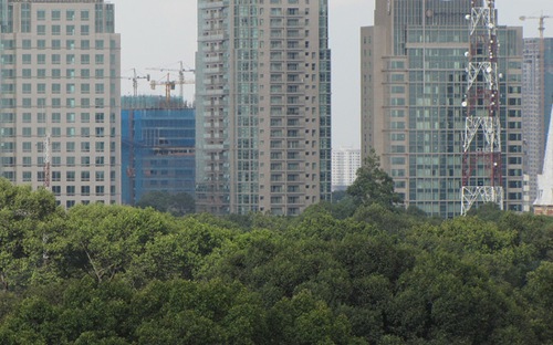 Theo các chuyên gia, nguyên nhân khiến cho thị trường đóng băng như hiện nay chính là bên cầu, 
tức khách hàng, chứ không phải tiền thuế, hay tiền sử dụng đất…