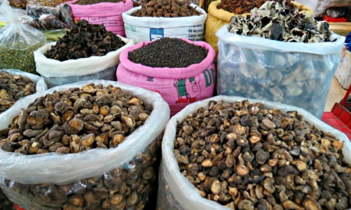 Bí quyết chọn thực phẩm tươi ngon cho ngày Tết