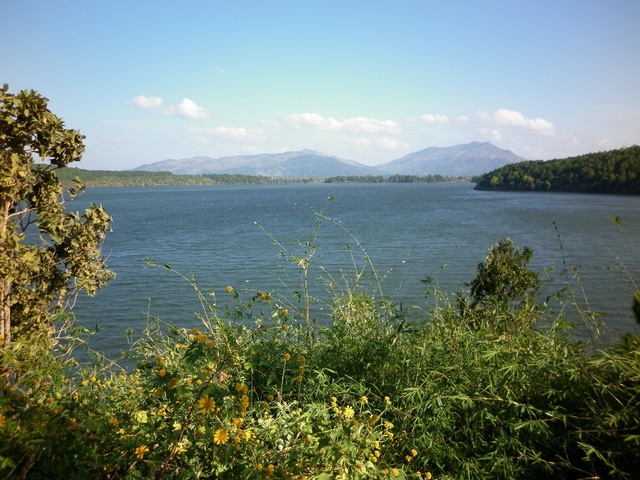 Mùa dã quỳ, đi ngắm đôi mắt Pleiku - Ảnh 1.