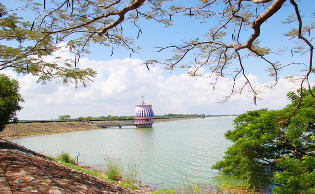 Về Bình Dương ăn gỏi gà măng cụt - Ảnh 2.