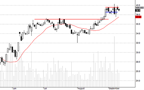 Blog chứng khoán: “Cơn điên” ở penny lên cao trào 4