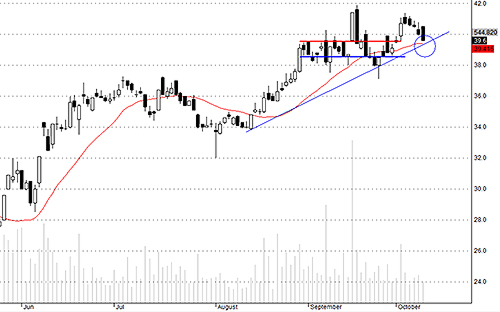 HCM chờ đợi phản ứng cầu tốt hơn trong nhịp giảm ngày mai.