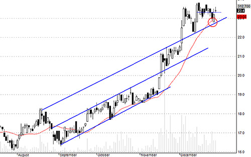 HCM đang có triển vọng khá tích cực, xu thế tăng vẫn được giữ vững.