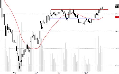 HCM có tích lũy và thu hút thanh khoản tốt.