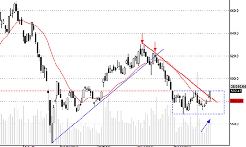 Blog chứng khoán: Tăng “rực rỡ”