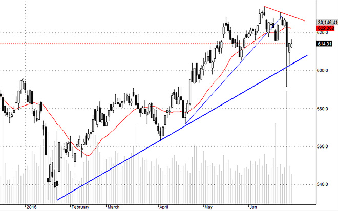 Hsx30 thể hiện rằng ngoài VNM hôm nay, các cổ phiếu còn lại không có gì đặc biệt.
