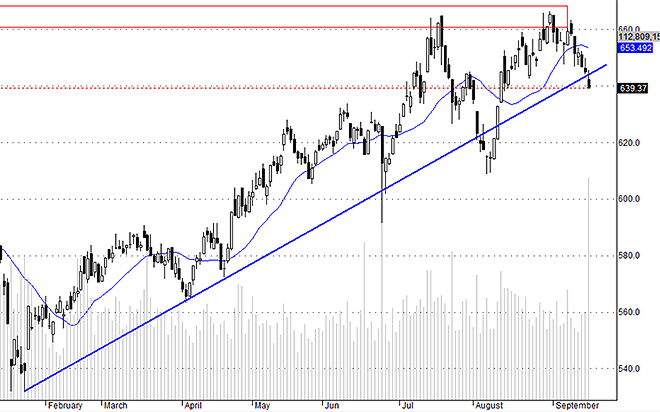 Hsx30 cho thấy nhiều blue-chips đã không được đỡ đủ tốt khi ETF xả lớn.