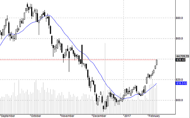 Midcap có vẻ đang được chú ý.