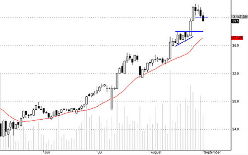 Hôm nay một lượng lớn hàng đã chốt trước ngày tổ chức bắt đầu đăng ký bán.
