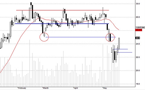 TCM bắt đầu nhận được quan tâm lớn trở lại của dòng tiền.