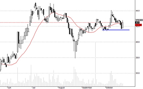 VIC có phản ứng giá mạnh khi chạm vùng hỗ trợ.