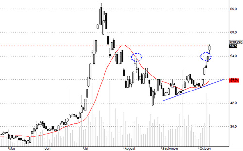 BVH hôm nay thể hiện sức mạnh giá rất tốt.