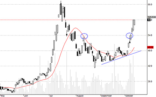<div>BVH có ngày điều chỉnh khá mạnh.</div>