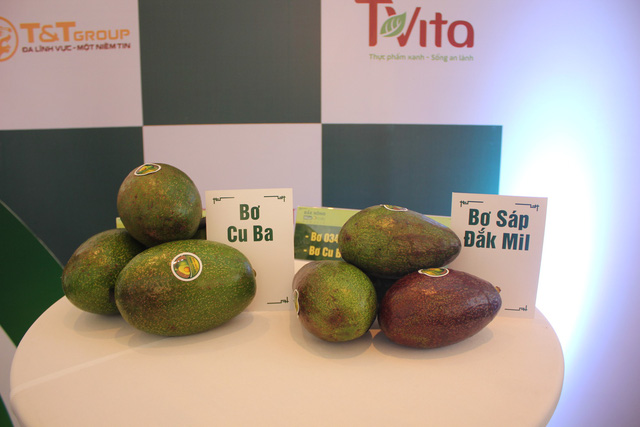 Đắk Nông thay da đổi thịt nhờ quả bơ - Ảnh 1.