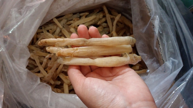 5 món ăn đắt hơn vàng tốt cho phái mạnh - Ảnh 3.