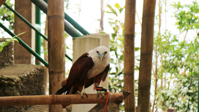 Boracay có gì hay? - Ảnh 14.
