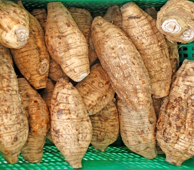 Thải độc thực dưỡng với bột sắn dây - Ảnh 1.