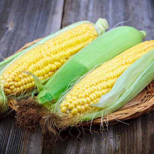 Những lợi ích bất ngờ của bắp ngô - Ảnh 1.