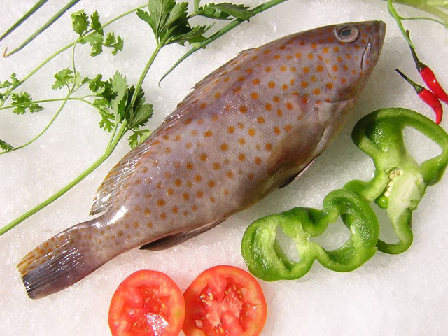 3 món từ cá song biển tuyệt ngon cho ngày se lạnh - Ảnh 1.