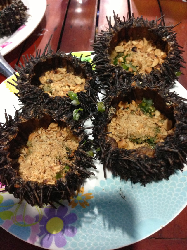 Một vùng biển thẳm xanh: Cà Ná - Ảnh 11.