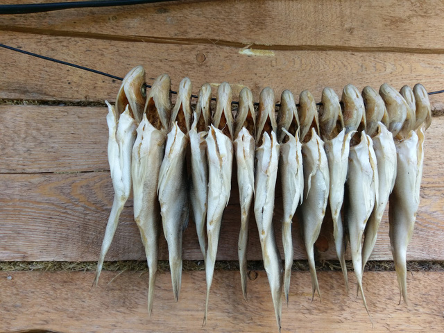 Xem World Cup Nga, ăn cá Vobla - Ảnh 1.