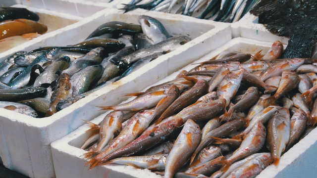 Chọn mua cá biển ngon và an toàn - Ảnh 1.