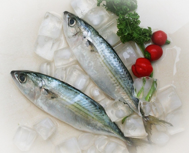 Chọn mua cá biển ngon và an toàn - Ảnh 2.