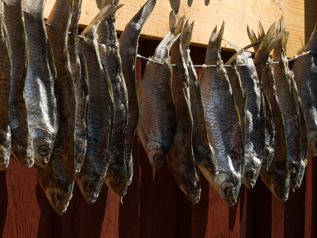 Xem World Cup Nga, ăn cá Vobla - Ảnh 2.