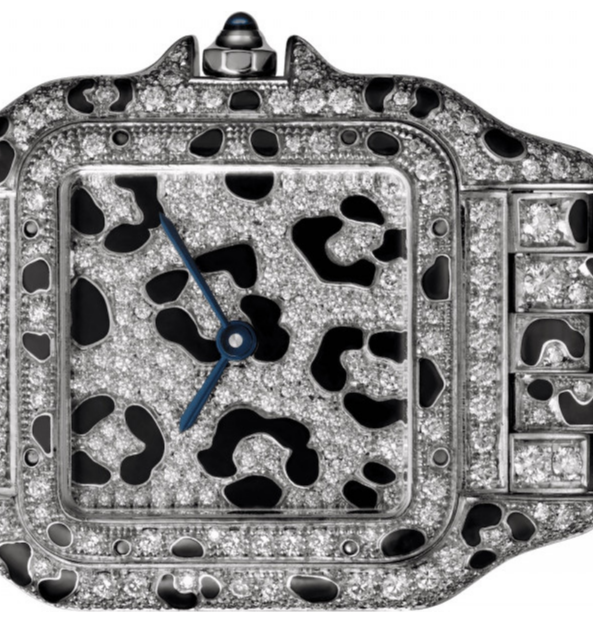 Panthère de Cartier – chú báo kiêu kỳ của thời trang xa xỉ - Ảnh 6.
