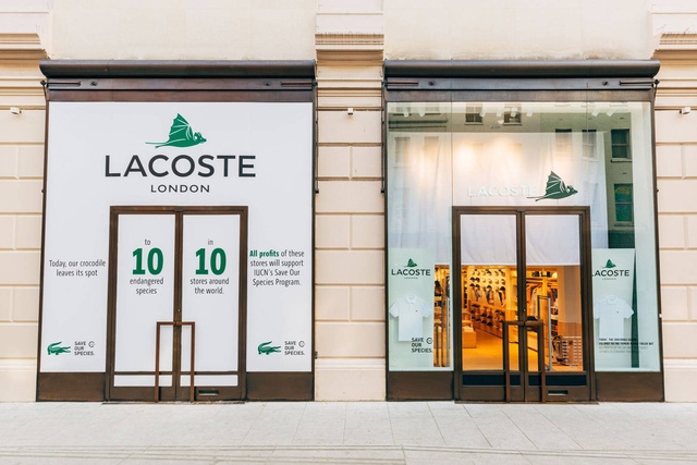 Lascote và những chiếc áo không cá sấu - Ảnh 8.