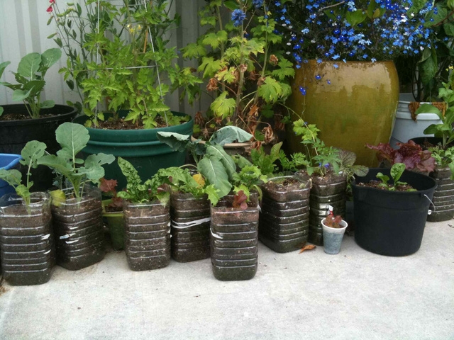 Những khu vườn tái chế rất xinh để đón Tết - Ảnh 2.