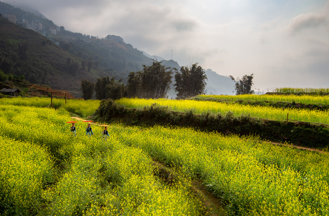 Muốn nghỉ hè trên núi, hãy đến với Sa Pa - Ảnh 2.