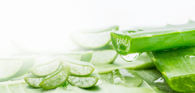 10 cách trị mụn dễ dàng tại nhà - Ảnh 4.