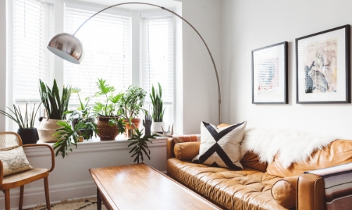 10 ý tưởng đưa cây vào trong nhà