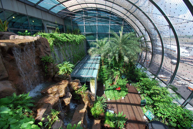 Làm gì ở Singapore nếu bạn có 1 ngày quá cảnh? - Ảnh 1.