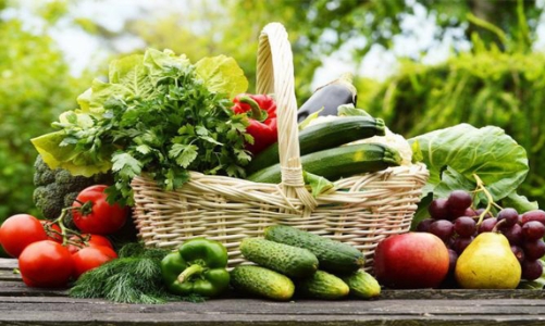 Việt Nam đang phải đối mặt với nhiều vấn đề về dinh dưỡng