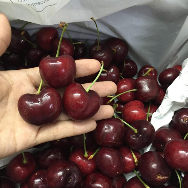 Bắt đầu vào mùa cherry Úc, giá cao nhưng vẫn đắt khách - Ảnh 2.