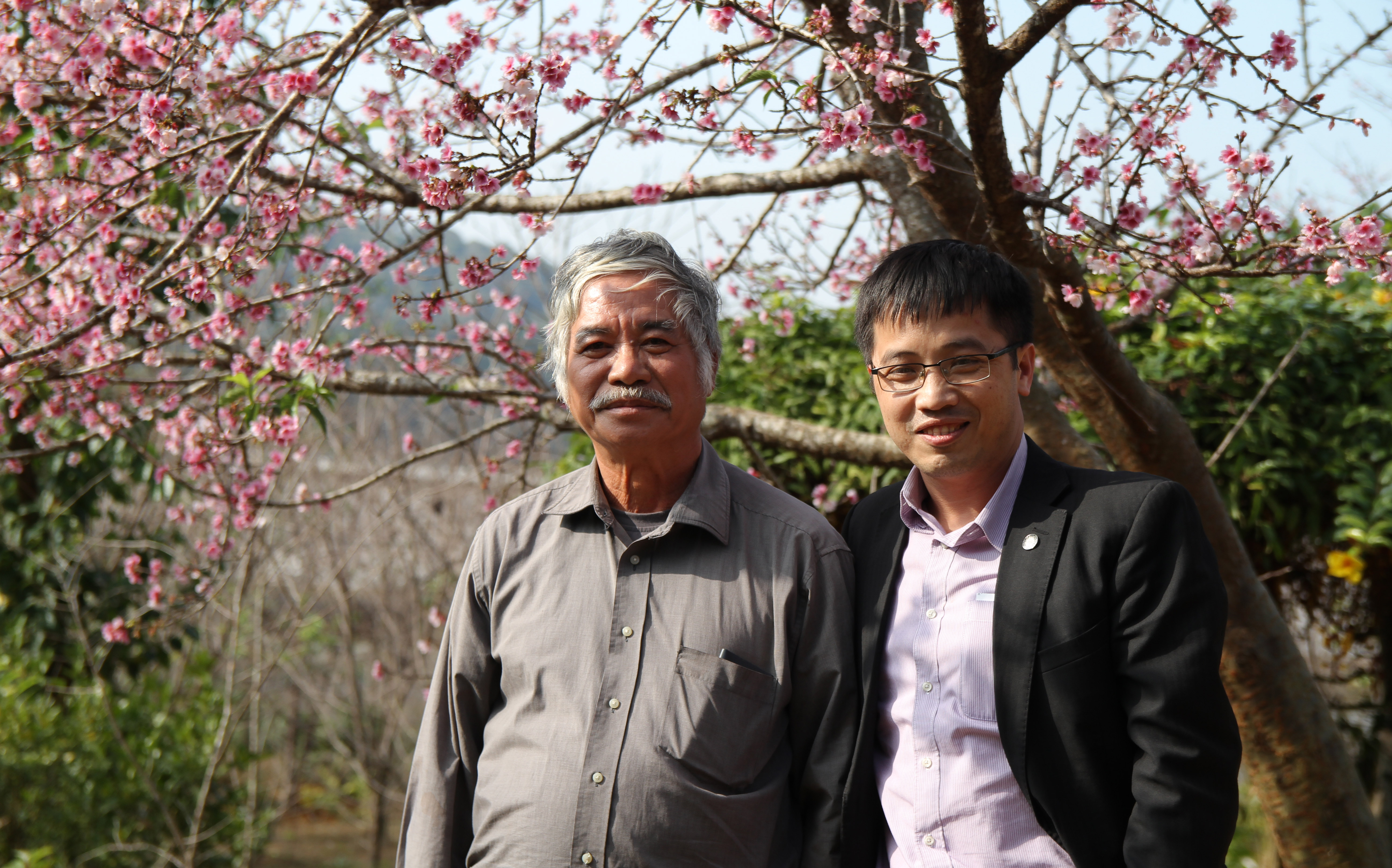 Doanh nhân Trần Lệ (trái) luôn nồng nhiệt chào đón du khách đến chiêm ngưỡng hoa anh đào trên đảo - Ảnh: Mỹ An