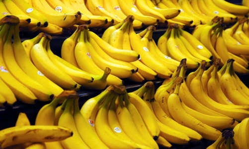 Chuối Philippines “sợ” chuối Việt Nam 