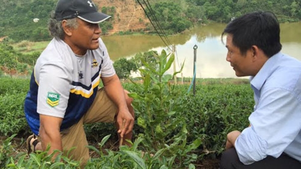 Chuyên gia Mỹ “nhíu mày” với thực tế mắc-ca Việt Nam