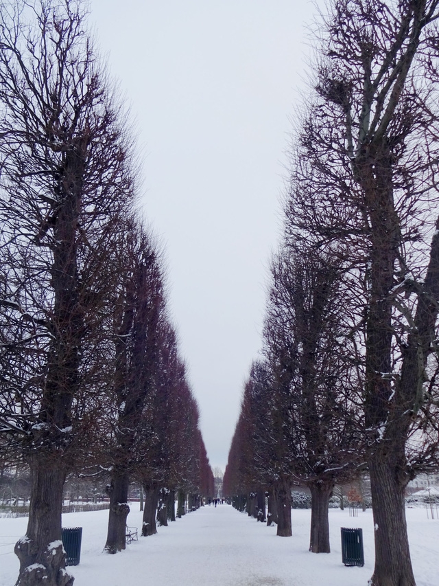 Ngắm Copenhagen vào một ngày mùa đông - Ảnh 6.